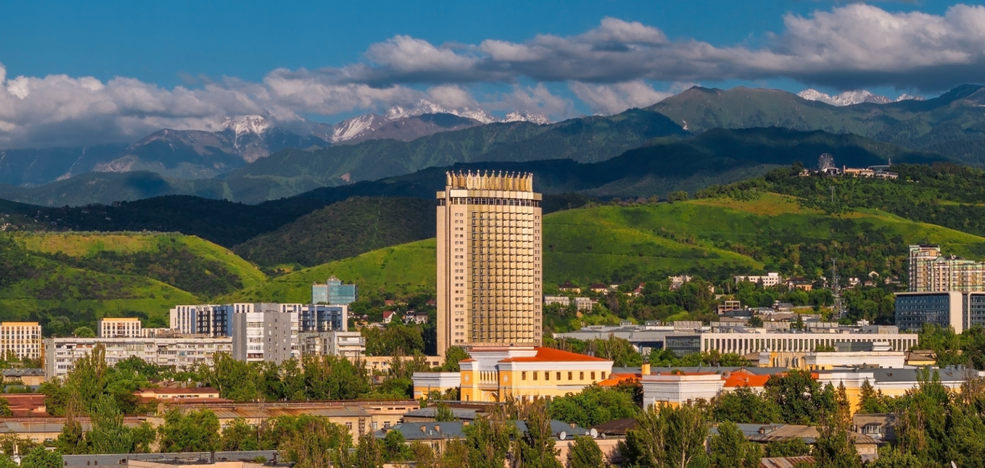 Berkovning samimiy surati Orgazmdan kelib chiqqan konvulsiyalarda chayqalish